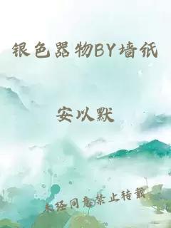银色器物BY墙