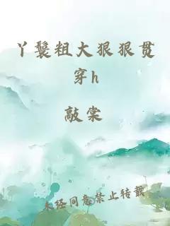 丫鬟粗大狠狠&#